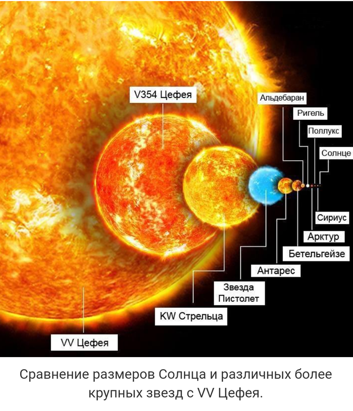 Определить звезду по фото