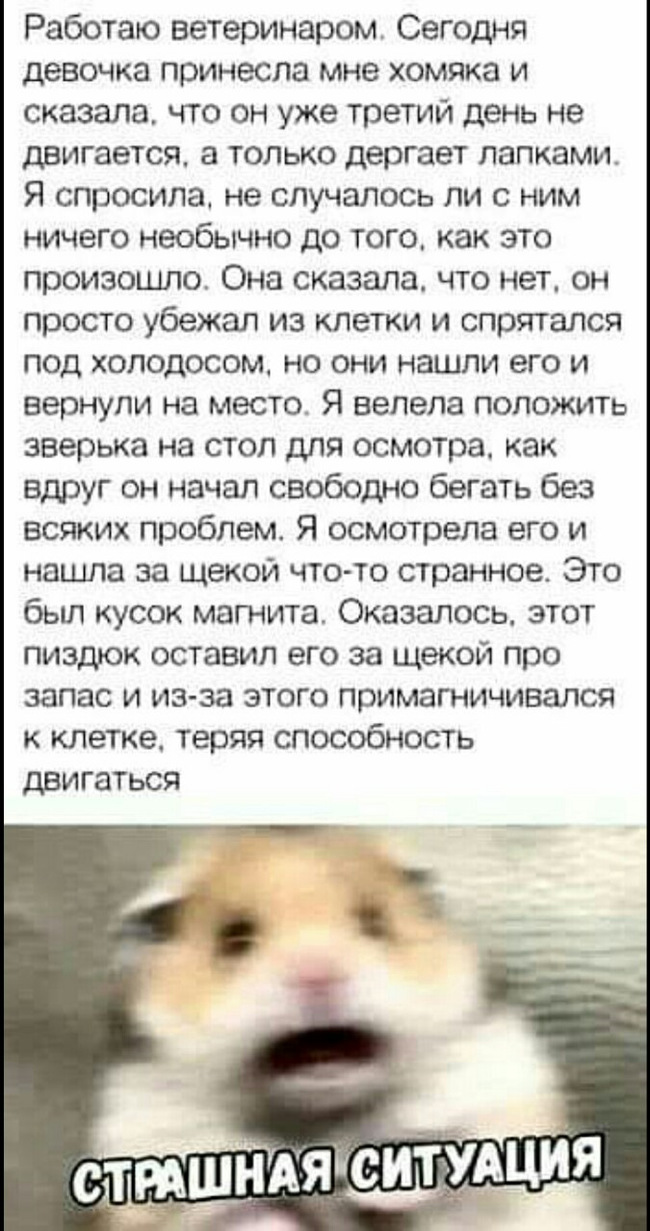 Vilov full post. - Hamster, Monday is a hard day, Humor, Longpost