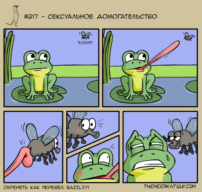 Sexual harassment - Themeerkatguy, Frogs, Муха, Harassment, , Comics, Translation, Metoo