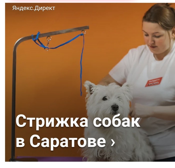 Contextual advertising. Thank you Yandex! - contextual advertising, Yandex Direct