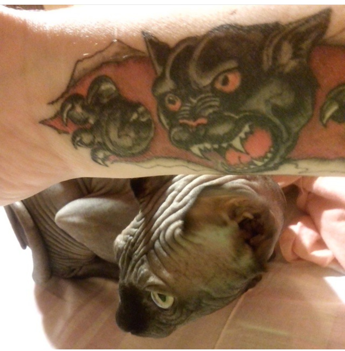 Вещая татуировка