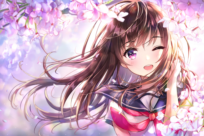 Anime art (by Dana) - Anime, Anime original, Anime art, Sakura