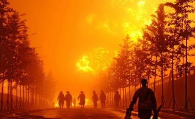 Siberia will burn? - Siberia, Forest fires, Nature, Catastrophe, Russia, Power, Vladimir Putin