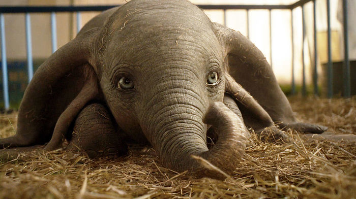 Children want to be believed / Dumbo - My, Dumbo, Elephants, Circus, Children, Movies, Movie review