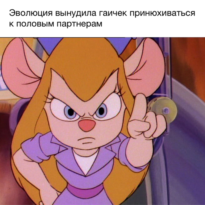 Яндекс новости - Моё, Яндекс Новости, Gadget Hackwrench