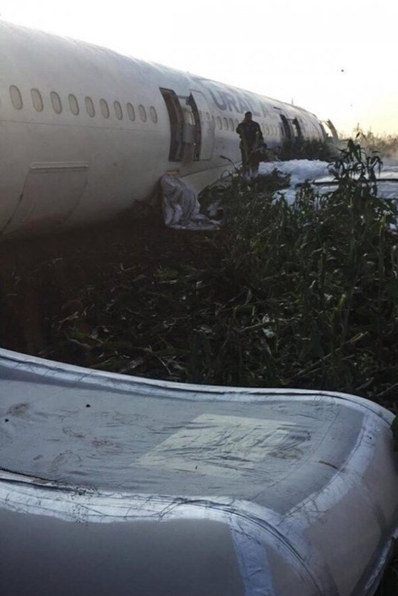 Ural Airlines landed in a field. - civil Aviation, Emergency landing, Ural Airlines, Longpost