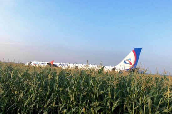 The plane took off from the Moscow region made an emergency landing in a cornfield - Airplane, Zhukovsky, Simferopol, Airbus, Ural Airlines, Incident