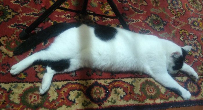 Мягкий обмен СПб-Муром! Восторг и счастье! Обмен подарками, Мягкий обмен, Тайный Санта, Конфеты, Санкт-Петербург, Муром, Радость, Длиннопост