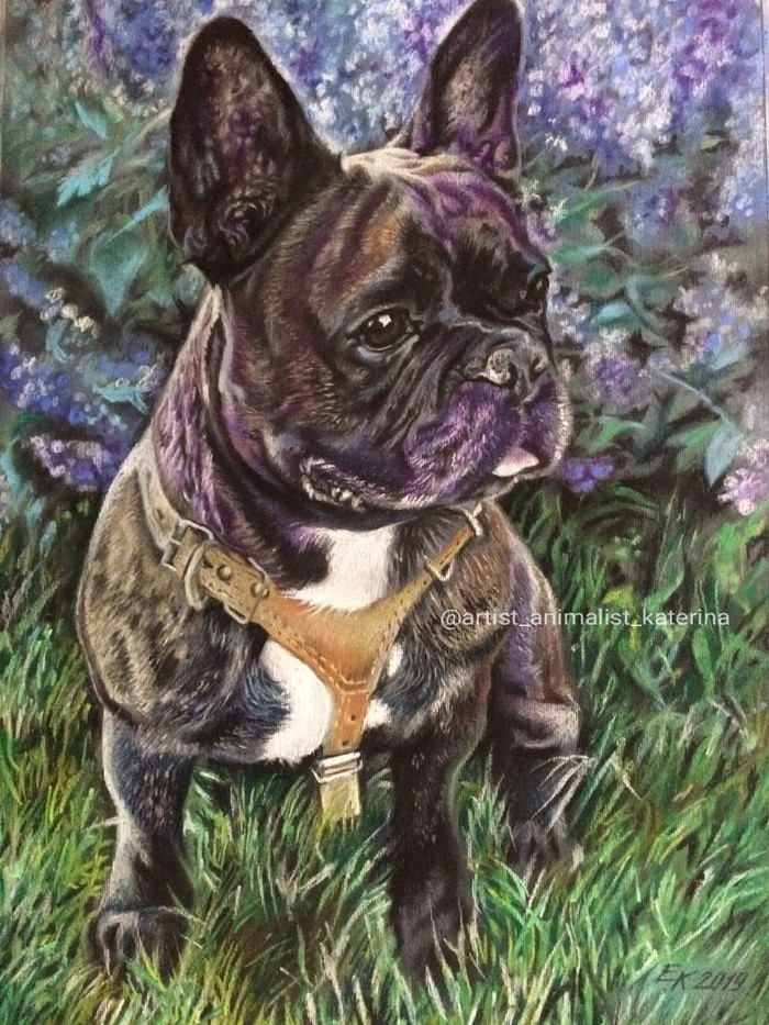 Veniamin Tsarsky Gift (French Bulldog). The commemorative portrait is made in pastel. A3 format. - My, Portrait, Drawing, Dog, French Bulldog, Dry pastel, Painting, Longpost
