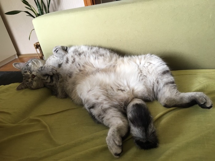 Тяжел и неблагодарен труд модели, особенно, если приходится совмещать его с обязанностями ассистента фотографа!