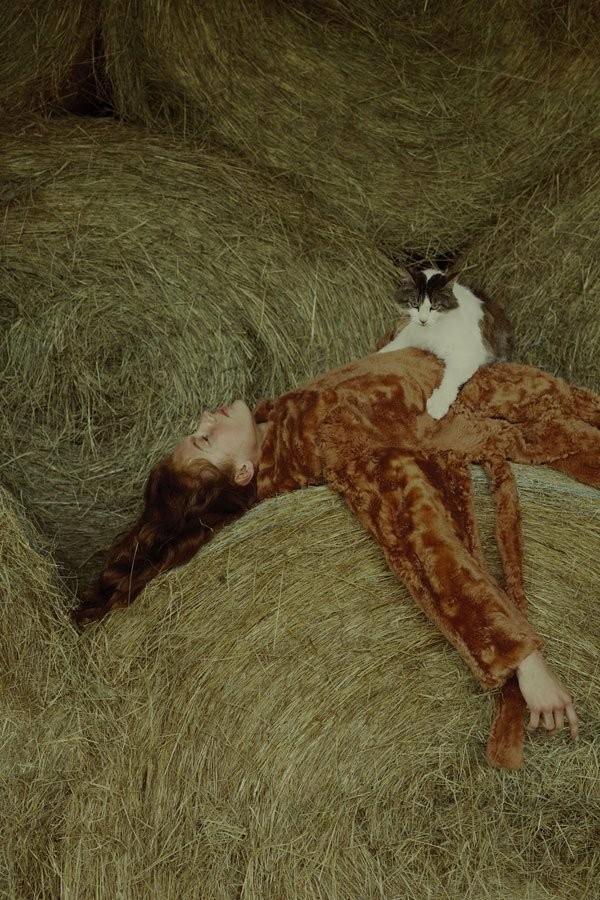 With a cat - cat, Hay and straw