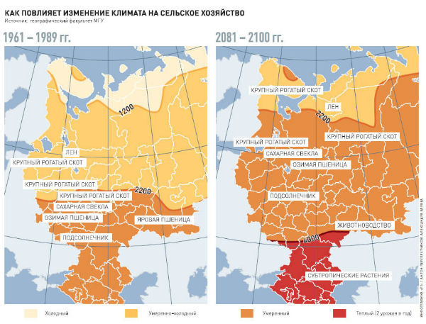 Don't worry about the damn Siberian forest and cutting it down - Ecology, Forest, Siberia, Felling, Climate, Russia, China, The science, Longpost