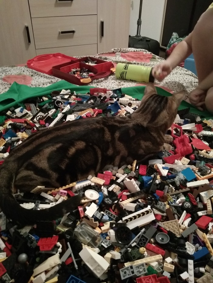 ������� �� ����