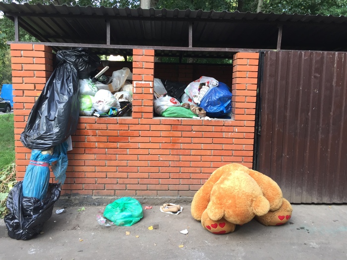 The fate of all giant teddy bears - My, Garbage, Teddy bear, Soft toy