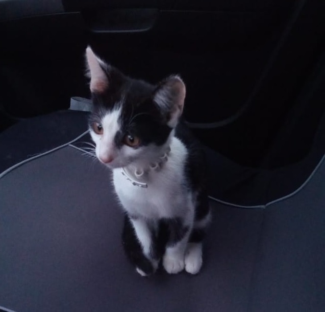 ������ � ������ ����