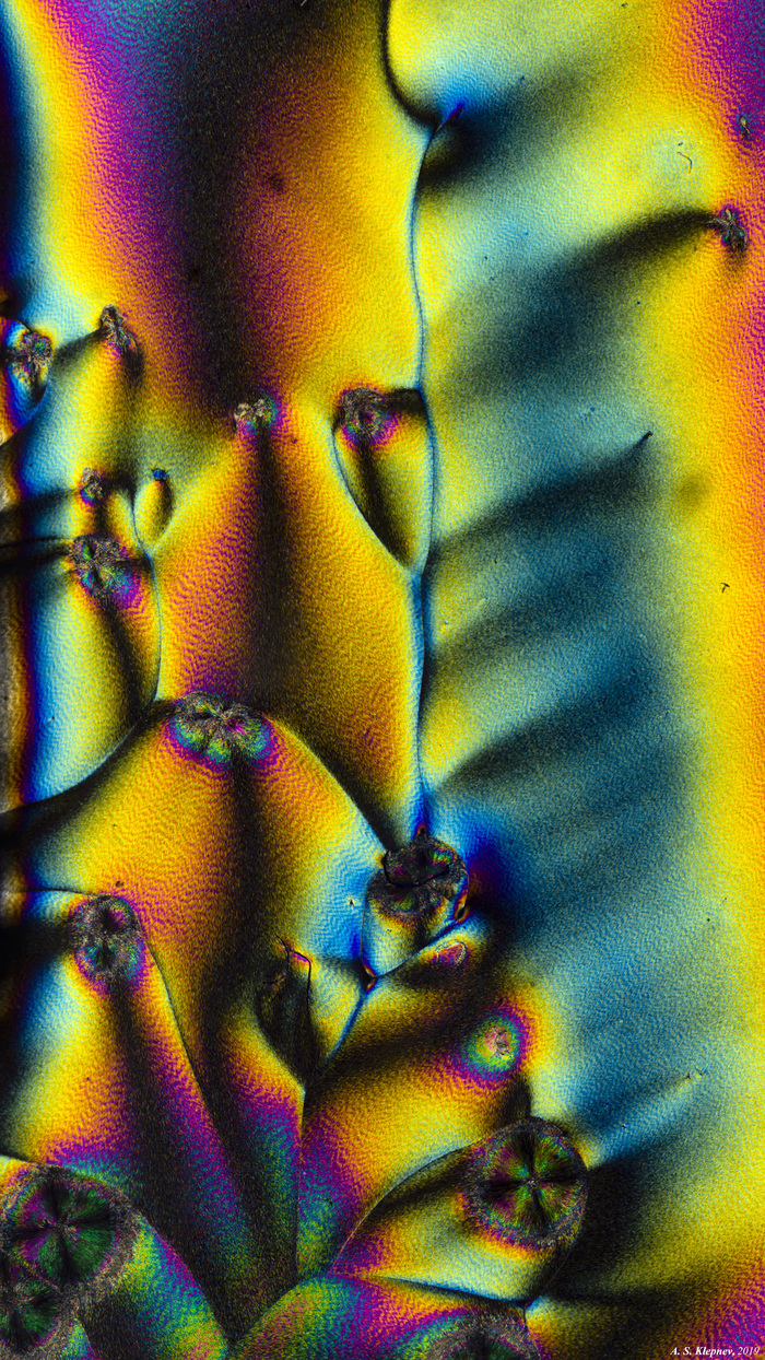 Vanillin. - My, Microscope, Vanillin, Polarization, The photo, Chemistry