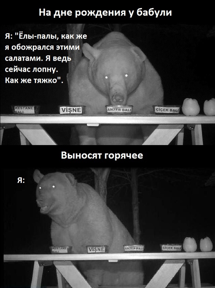 Когда объелся - Моё, Медведи, День рождения, Переедание, Картинка с текстом