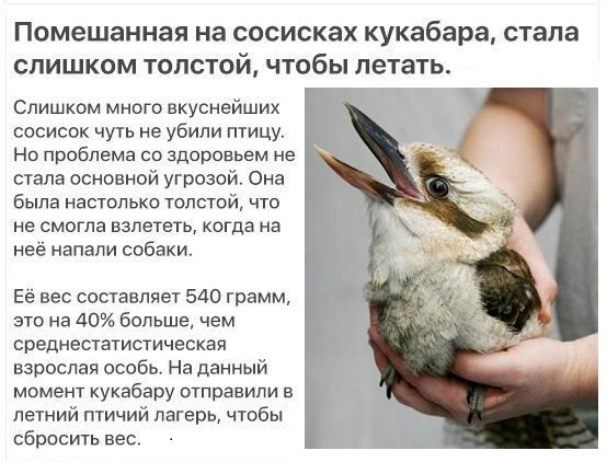 �������� ���� ���������