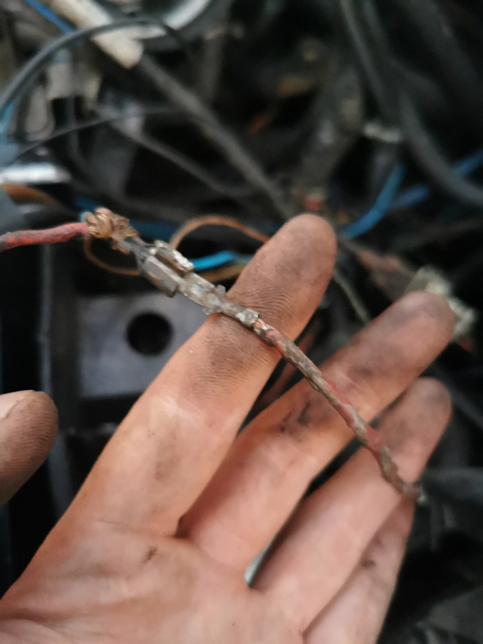 Peugeot and rotten wiring - My, Peugeot, Repair, Auto, The photo, Longpost