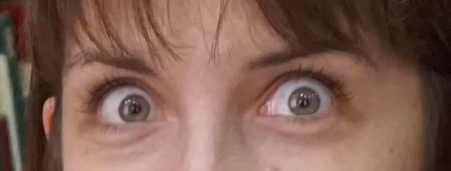 Вырастить пластилиновую лягушку вместе с ребенком? Почему бы и нет!