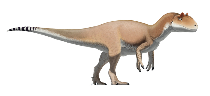 Allosaurus , , , , 