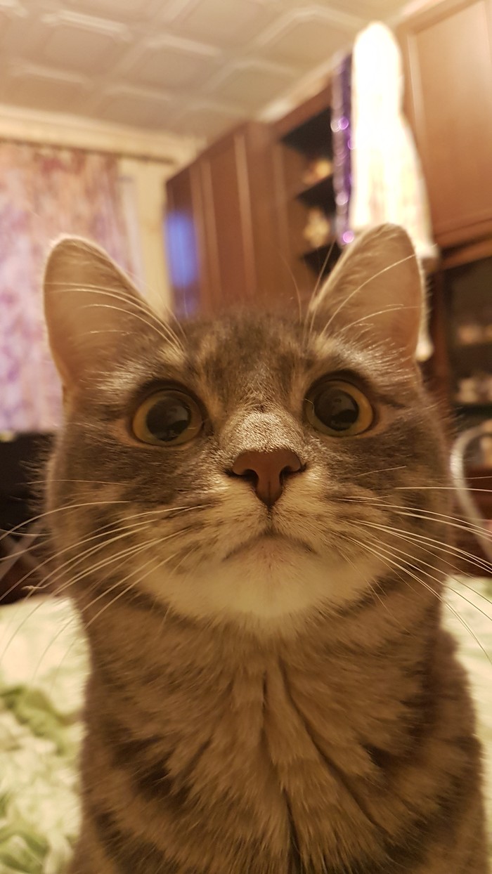  ... , , , 