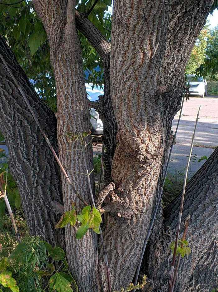 ������ � �������� ����.