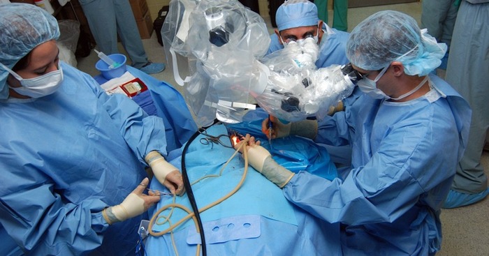 Массовые увольнения хирургов в России, «саботаж» или новый метод протеста?