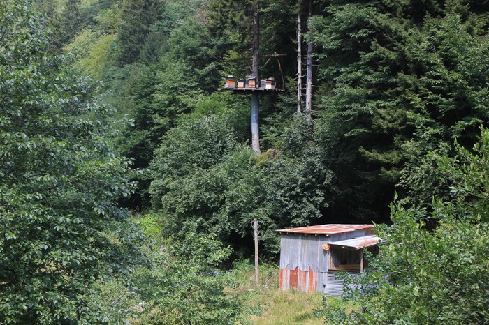 Honey. Why did they do that? - My, Turkey, Trabzon, Honey, Mining, Waterfall, Longpost