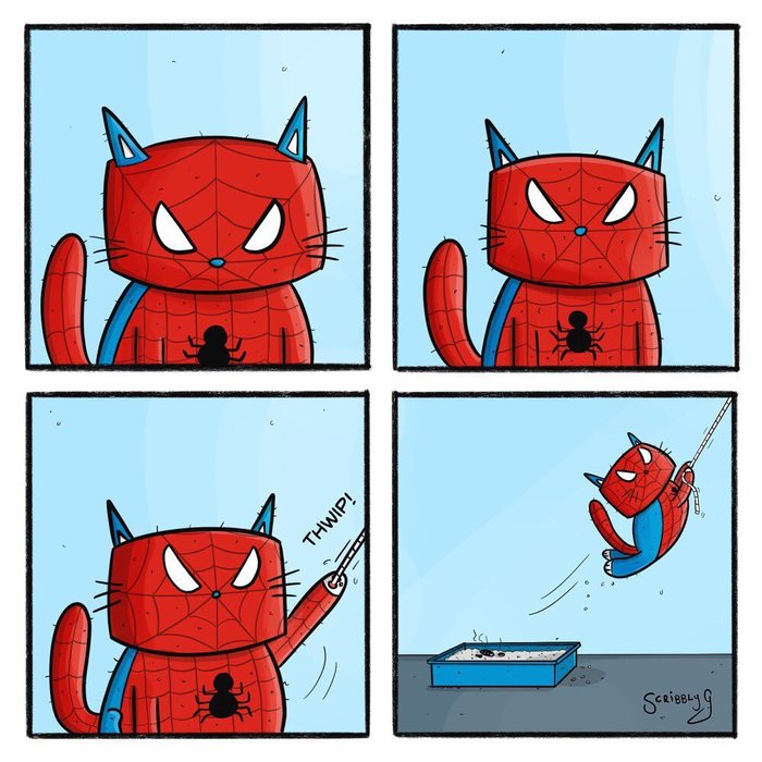 The Amazing Spider-Cat Scribbly g, , -, 