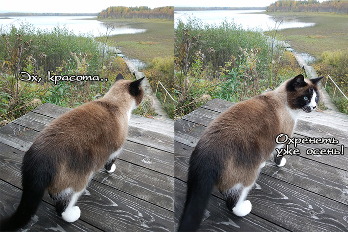 ��� � �����