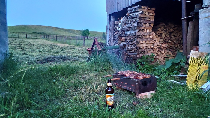 Хорошо в деревне летом - Моё, Деревня, Лето, Душевно, Шашлык