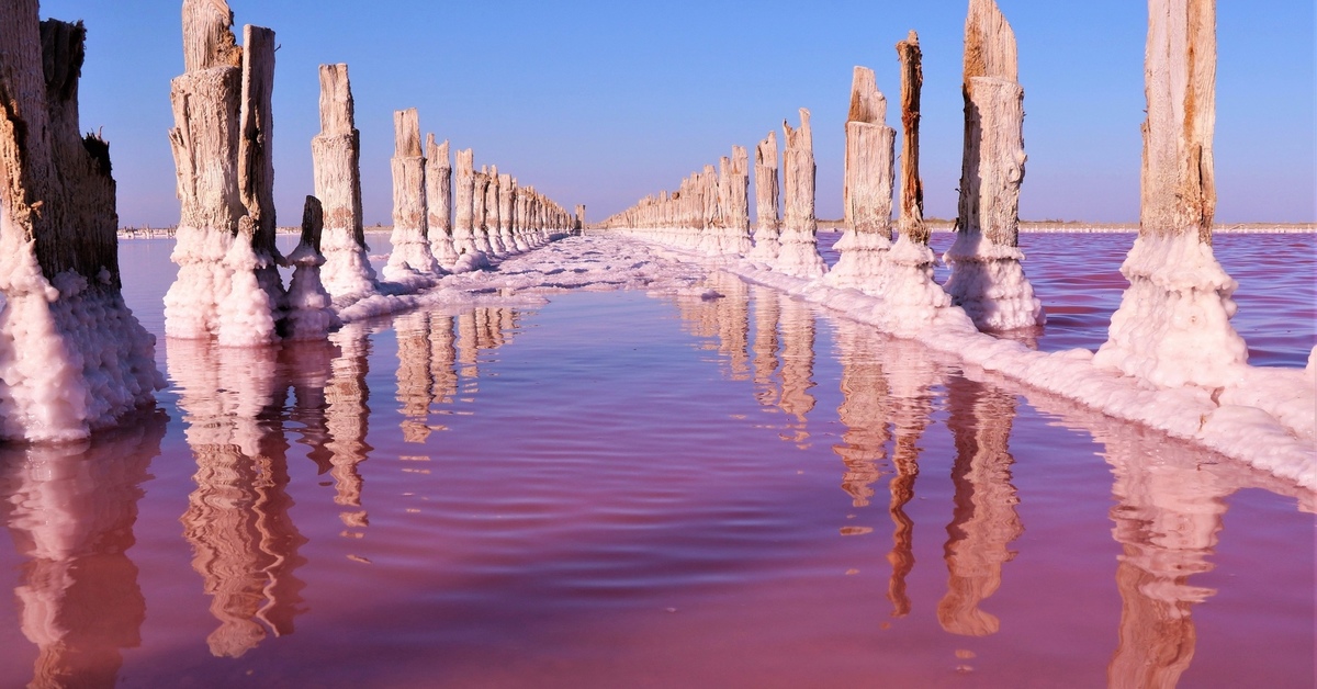 Розовое озеро сасык. Сасык-Сиваш. Сасык-Сиваш в Крыму. Озеро Сиваш. Сасык Сивашское озеро.