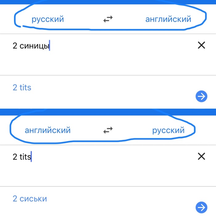 Шикарный язык) - Моё, Синица, Перевод, Сиськи, Google