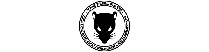 Elite Dangerous. Fuel Rats - Fuel Rats. Structure and beyond. - My, Elite dangerous, Games, Longpost, Fuel Rats, 