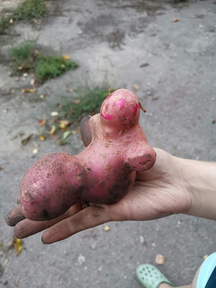     ,  , , 