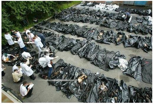 Worse than Beslan. - Stray dogs, Animal defenders, Radical animal protection, Osvv, Dog attack, , Beslan, Longpost, Law