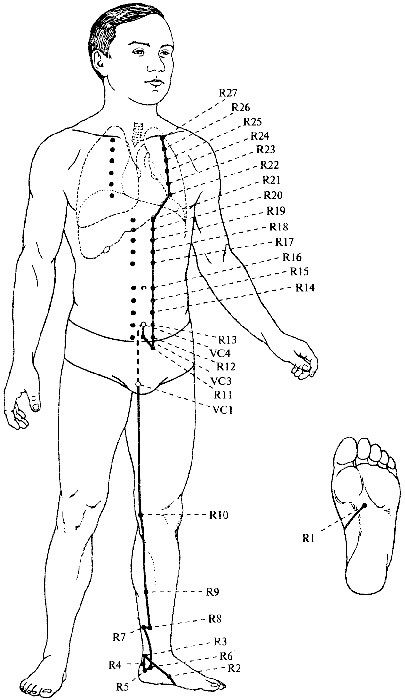 WHAT IS MULTIDIMENSIONAL MEDICINE? - My, Dowsing, Esoterics, Diagnostics, Healing, Soul