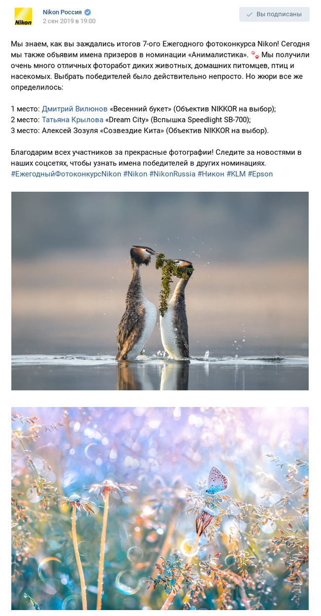 How Nikon Russia Ignores Its Own Photo Contest Rules - My, Nikon, Competition, Violation, No rating, Justice, The photo, Animalistics, Longpost