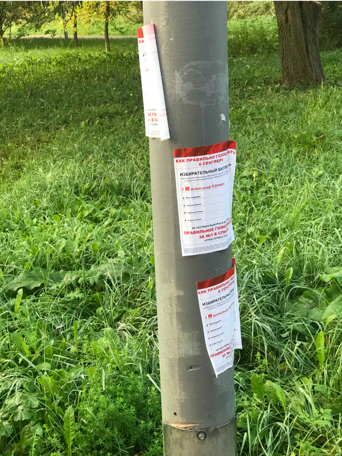 Предвыборная агитация говоришь ? | Пикабу