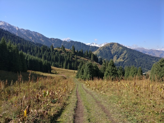 The mountains - My, Kazakhstan, Nature, Almaty mountains, The mountains, Longpost