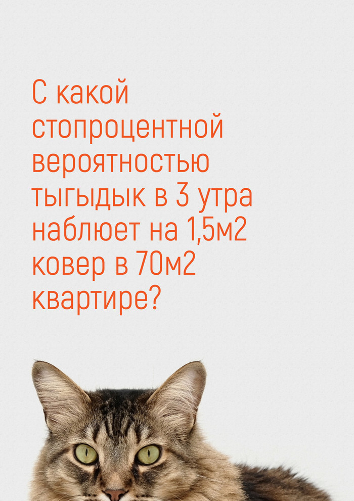 Математическая загадка про кошку Кот, Животные