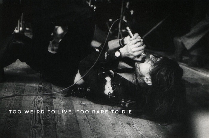 � ����� ���, ������� ����� ������ ����������� �� 55 ���