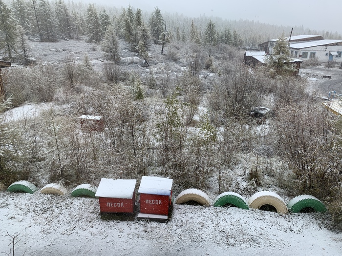 Norilsk, Norilsk... South of Buryatia - My, First snow, The nature of Russia