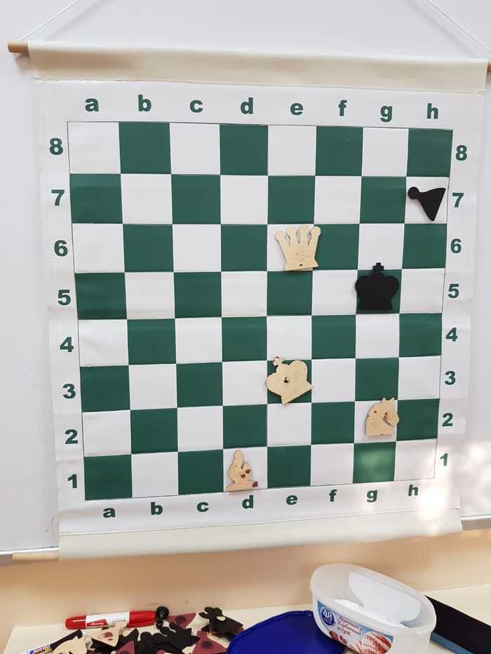 Шахматная задача