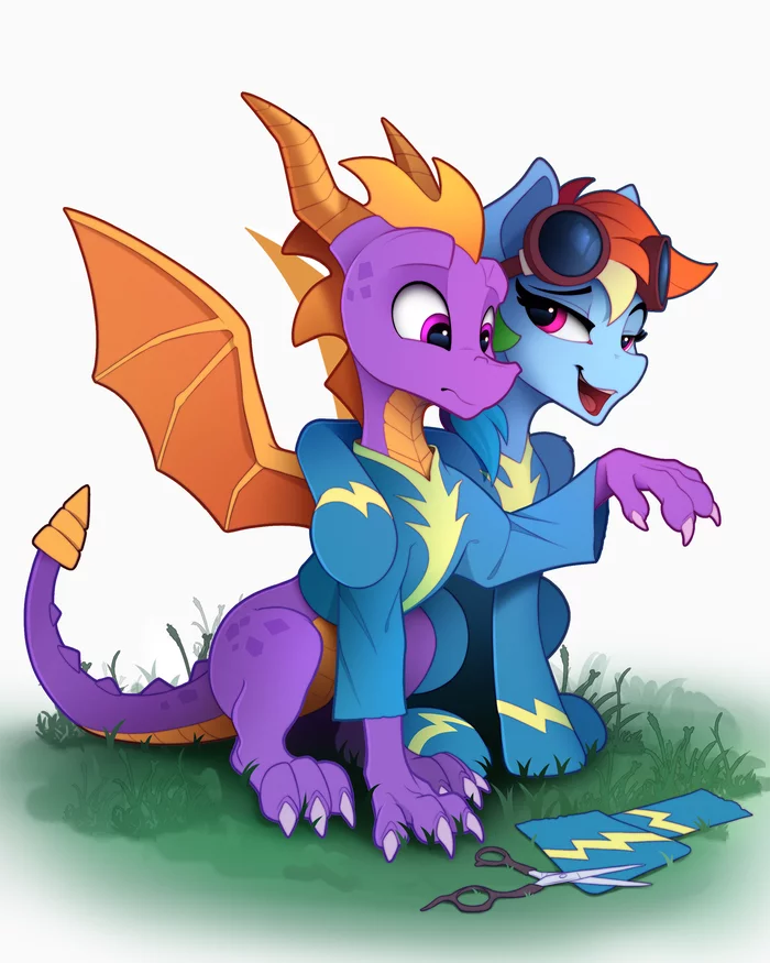 Recruitment to the Wonderbolts - My little pony, Rainbow dash, Spyro