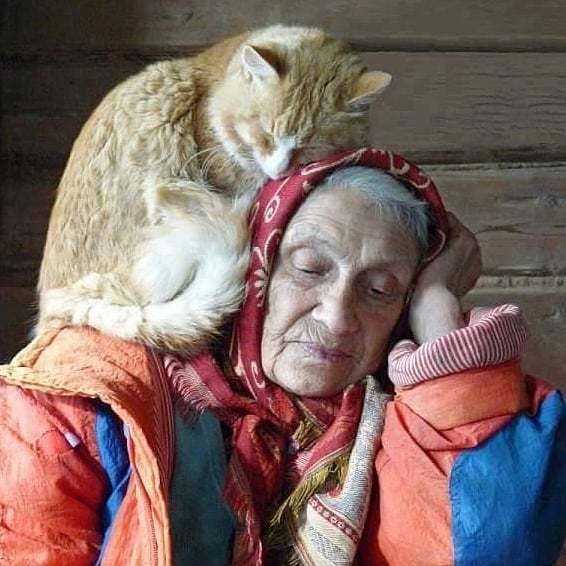 �������� ������