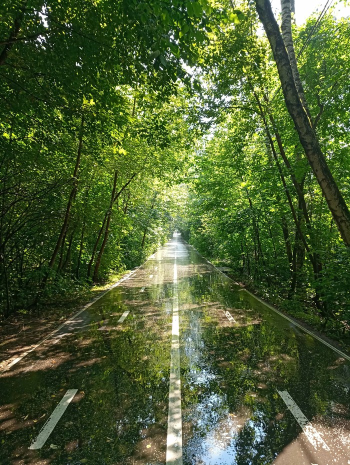 After the rain - My, The photo, Nature, Reflection, beauty, Road