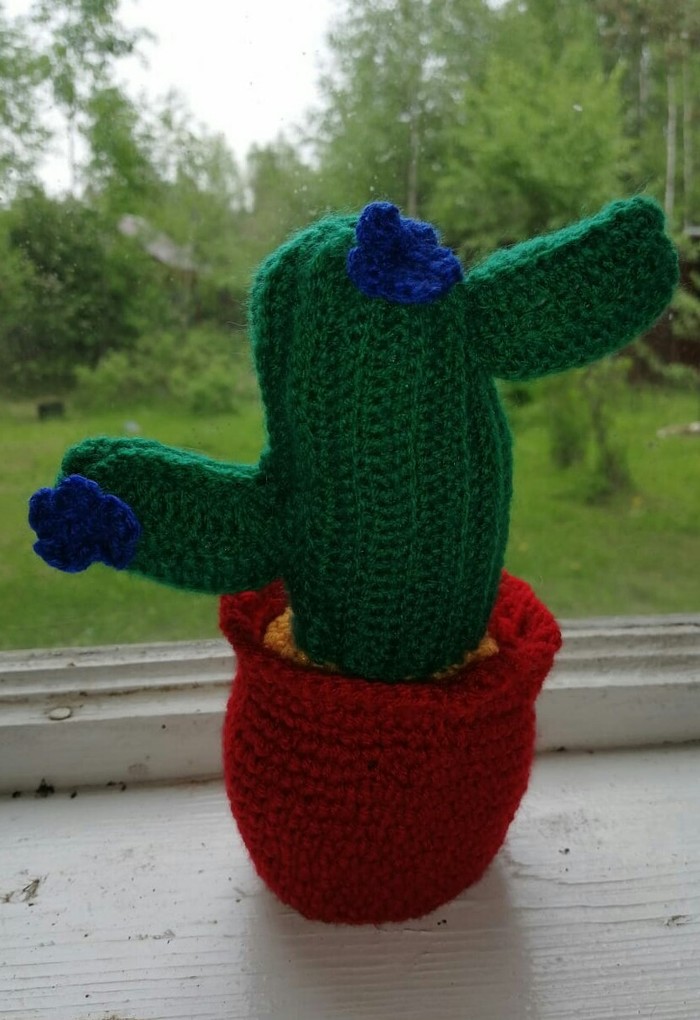 Cactus - pussy - My, Knitting, Crochet, Knitted toys, Cactus, Amigurumi, Needlework without process
