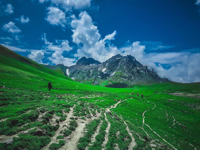 Kashmir - Nature, beauty of nature, India, The photo